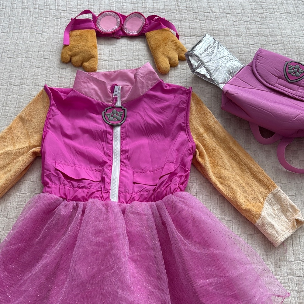 Skye from Paw Patrol Costume for Kids